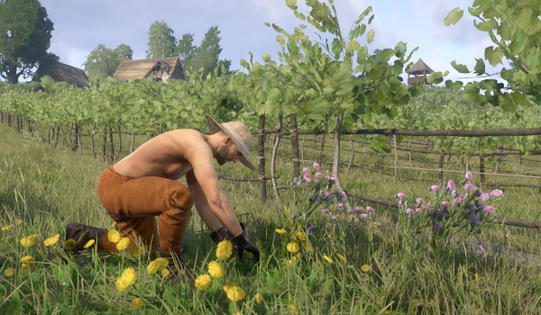 《天国:拯救2》葡萄园劳作MOD