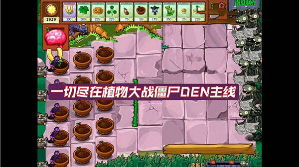 植物大战僵尸 DEN 版