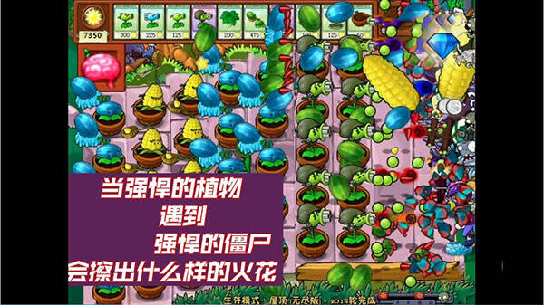 植物大战僵尸 DEN 版