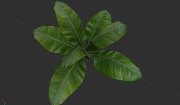《上古卷轴5:天际重制版》马卡斯植物MOD