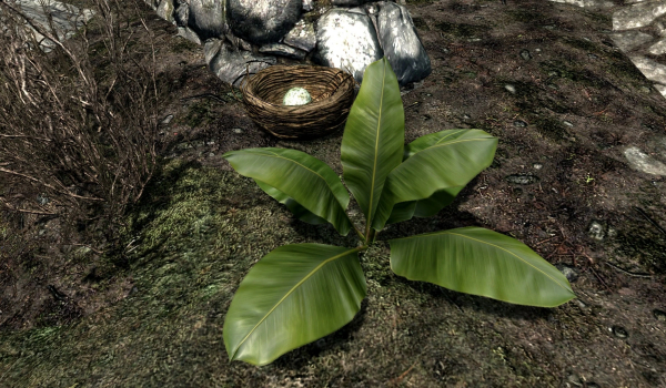 《上古卷轴5:天际重制版》马卡斯植物MOD