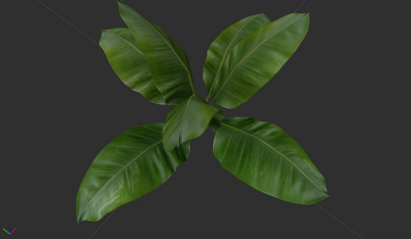 《上古卷轴5:天际重制版》马卡斯植物MOD