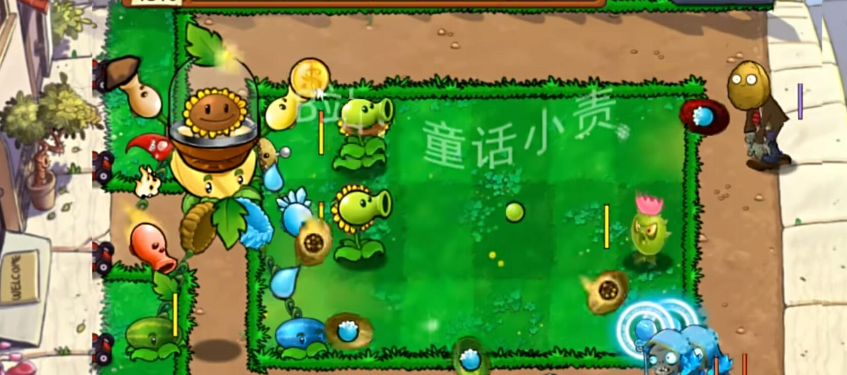 植物大战僵尸嫁接版壁纸