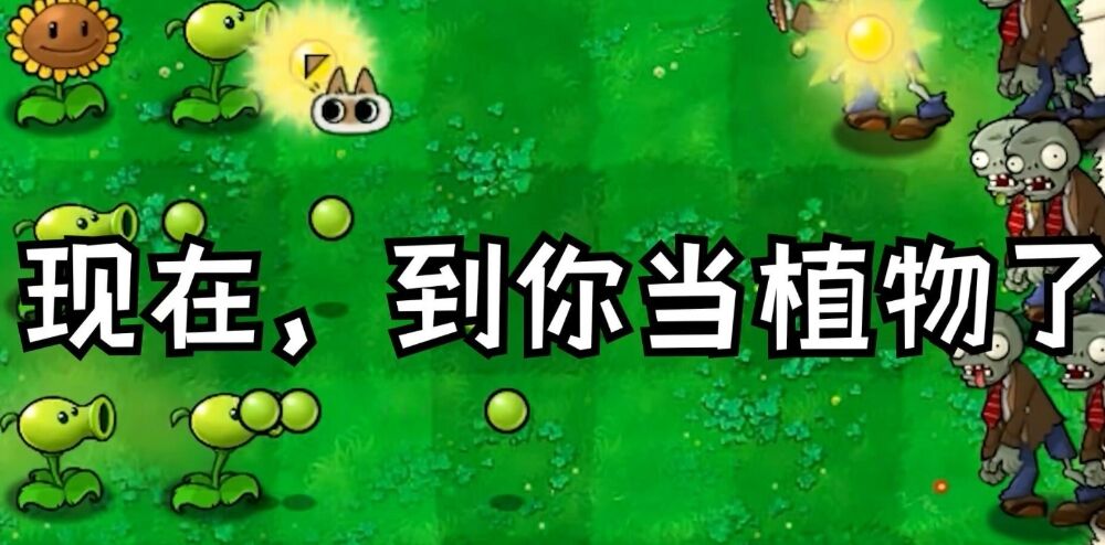 植物大战僵尸繁琐版