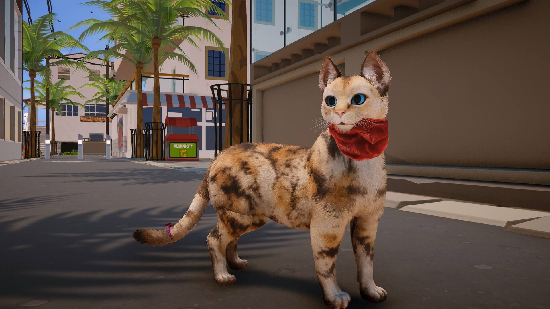 喵米：都市猫咪大乱壁纸
