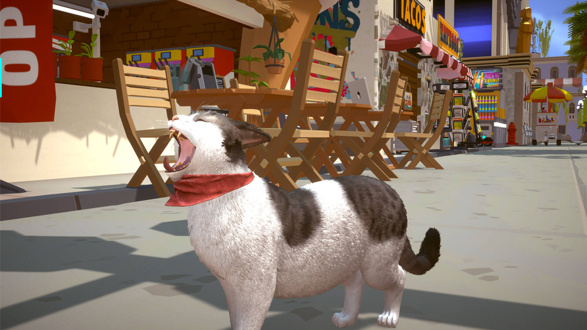 喵米：都市猫咪大乱壁纸