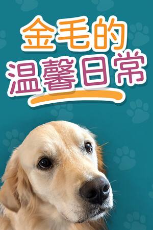 金毛的温馨日常下载