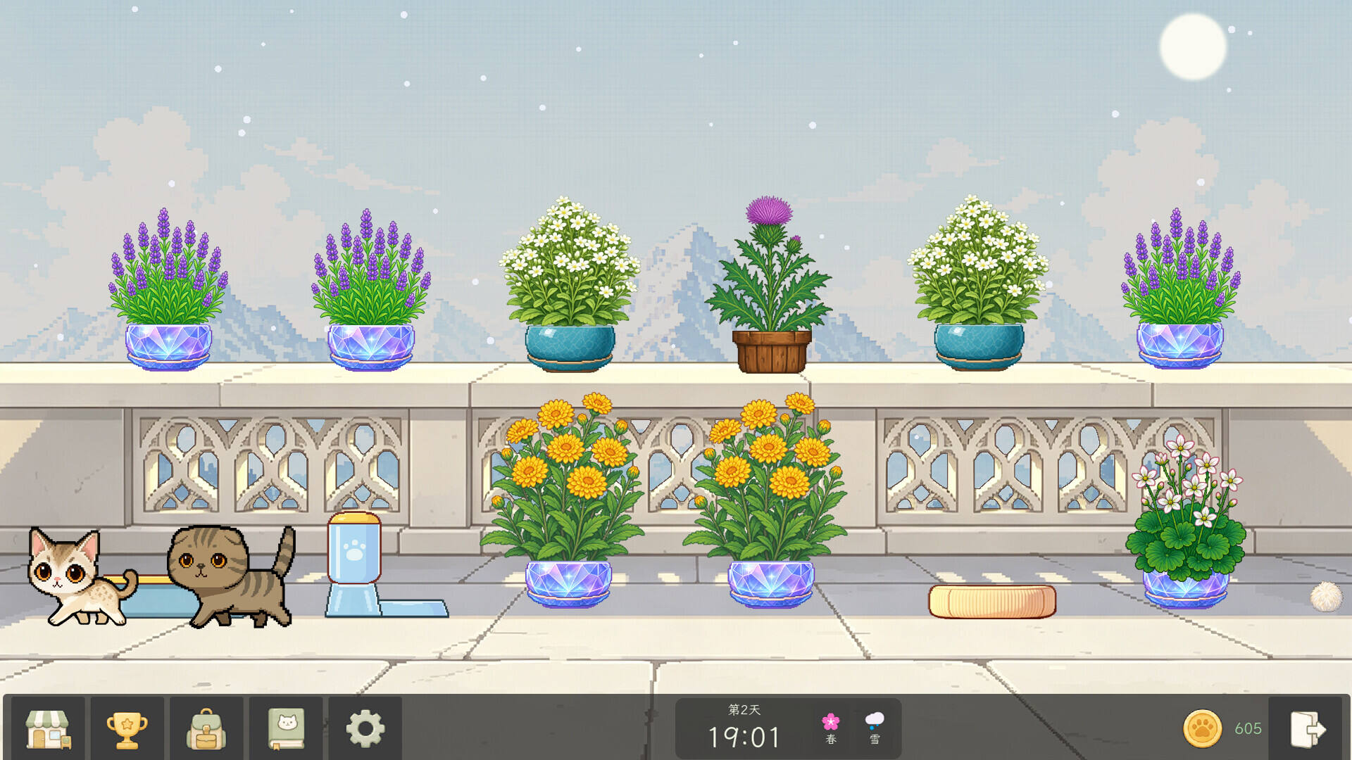 花开猫来