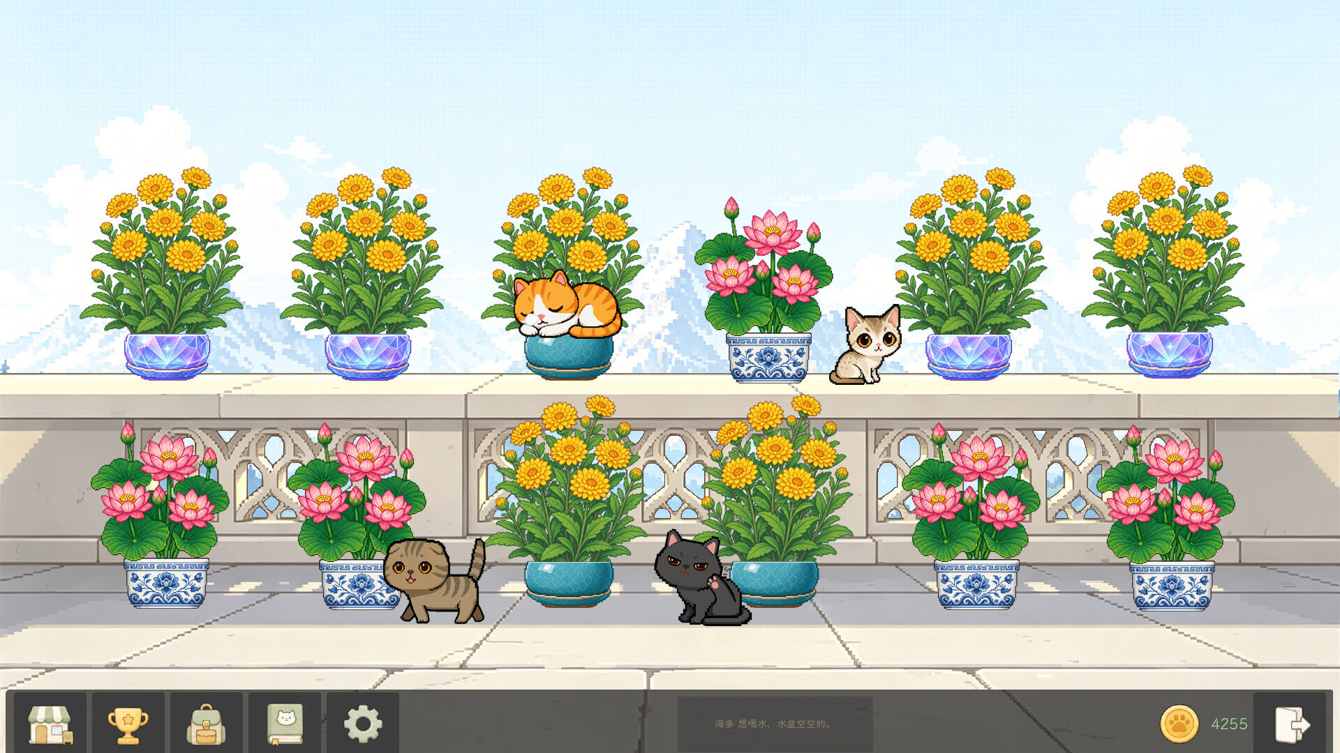 花开猫来壁纸