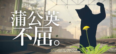蒲公英不屈