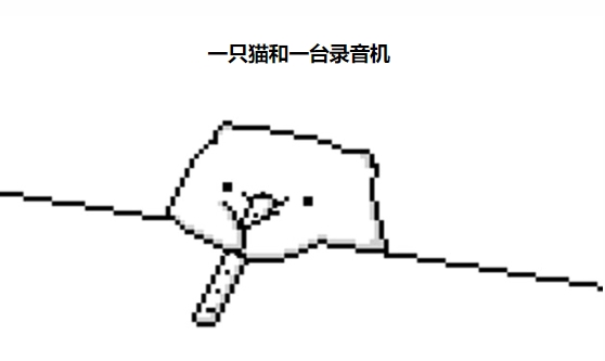 邦戈和其他乐器猫壁纸