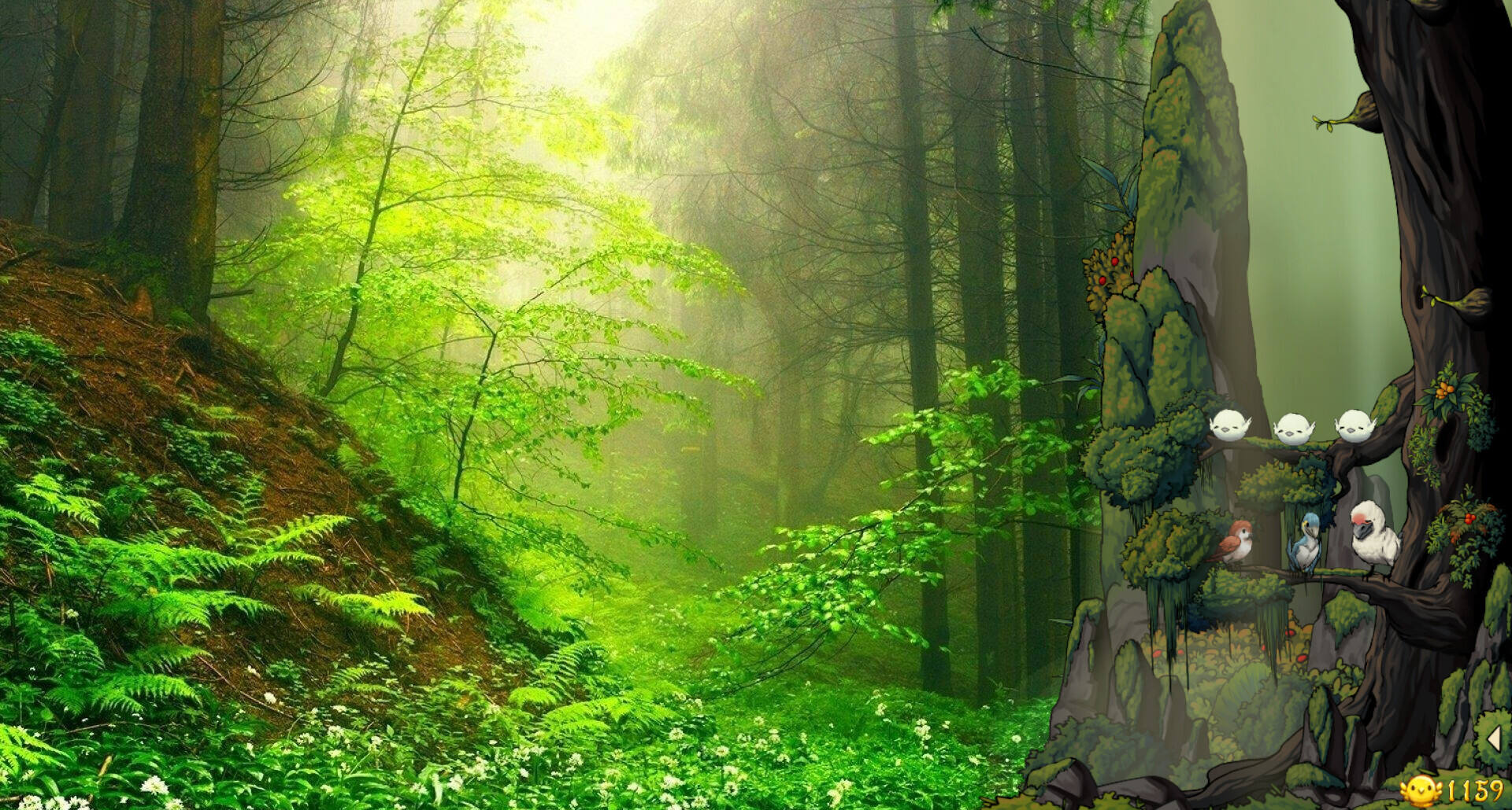 幻鸟之森