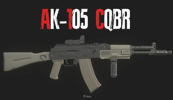 《生化危机4：重制版》AK-105 CQBR突击步枪MOD