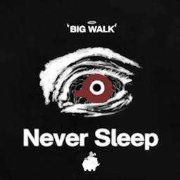 《Big Walk》睡眠控制MOD