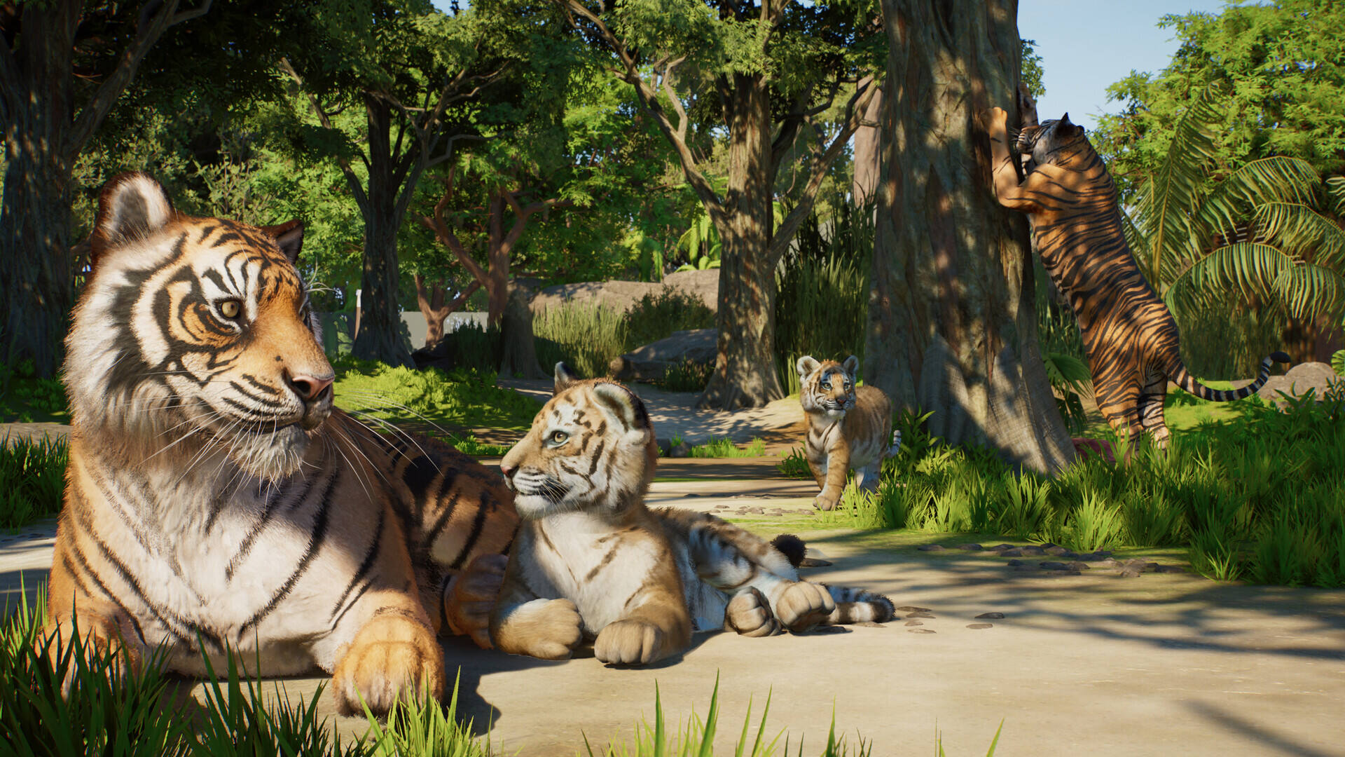 动物园之星2截图