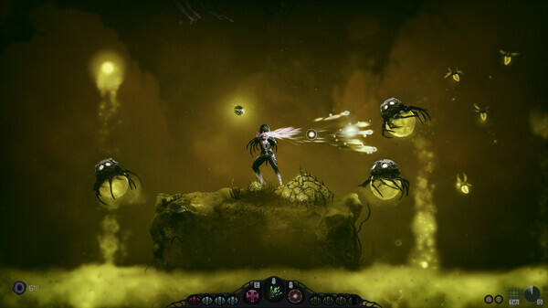 魔卓拉
